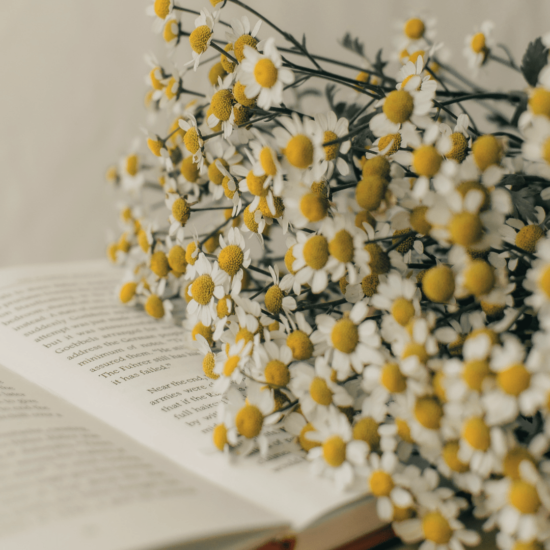 Awakening Guide to Spring Skincare and Nutrition