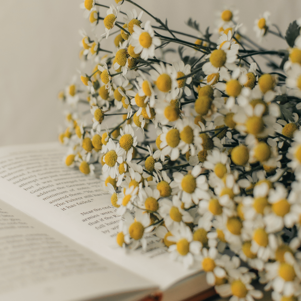 Awakening Guide to Spring Skincare and Nutrition