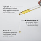 Face Oil 30ml by Inlight Beauty. Certified Organic skincare. 1FO30 miron glass bottle.
