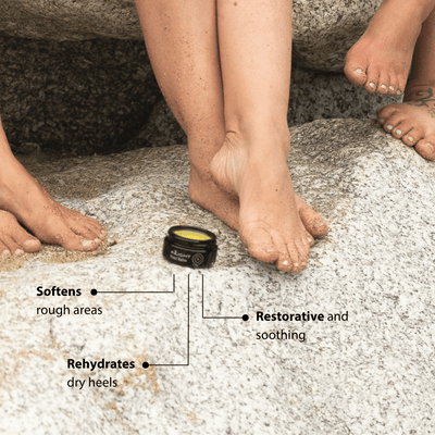 The Ultimate Body Collection